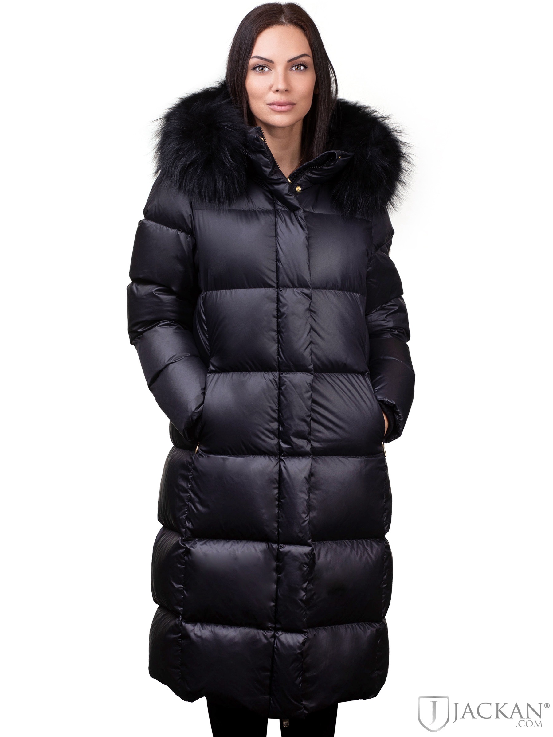 Sparrow Jacket 89989 Black Black